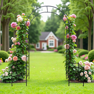Arche de jardin treillis pour plantes grimpantes, arche de jardin en métal durable pour arche de mariage, pour plante de fête, plante grimpante, vignes roses, cour, patio, noir
