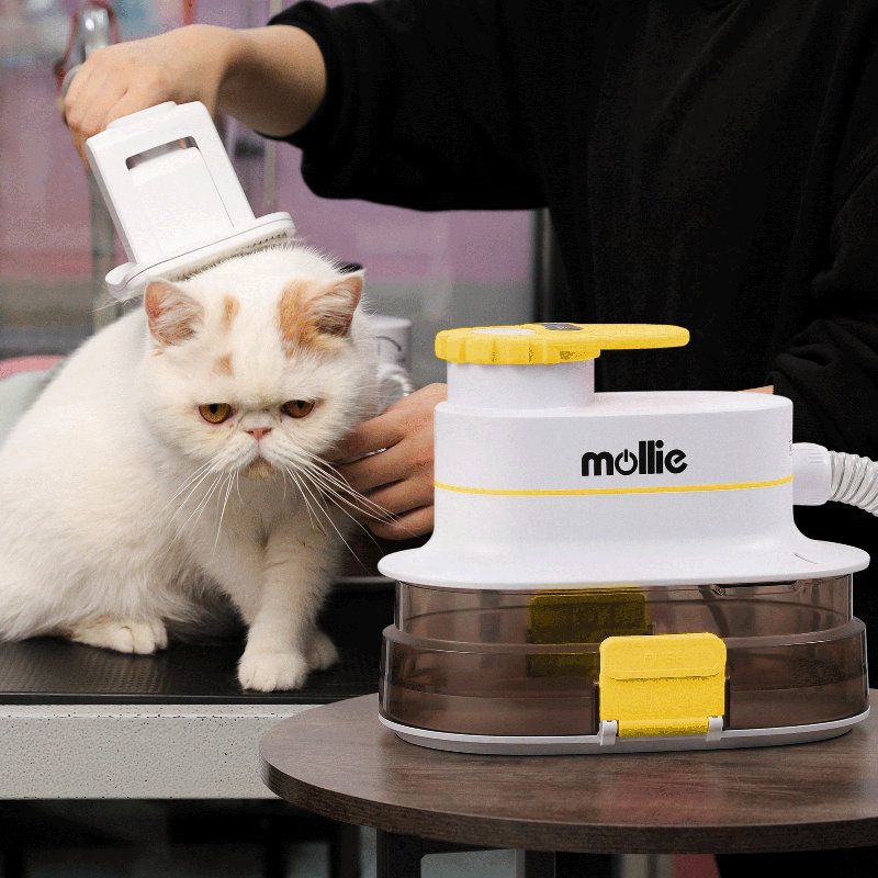 3 in 1 Dog Grooming Set with Vacuum Cleaner, Hair Dryer, 6 Grooming Tools and Clipper, Jaune