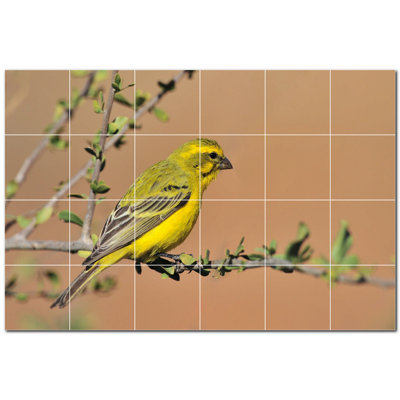 Bird Photo 4.25'' x 4.25'' Satin Ceramic Decorative Mural