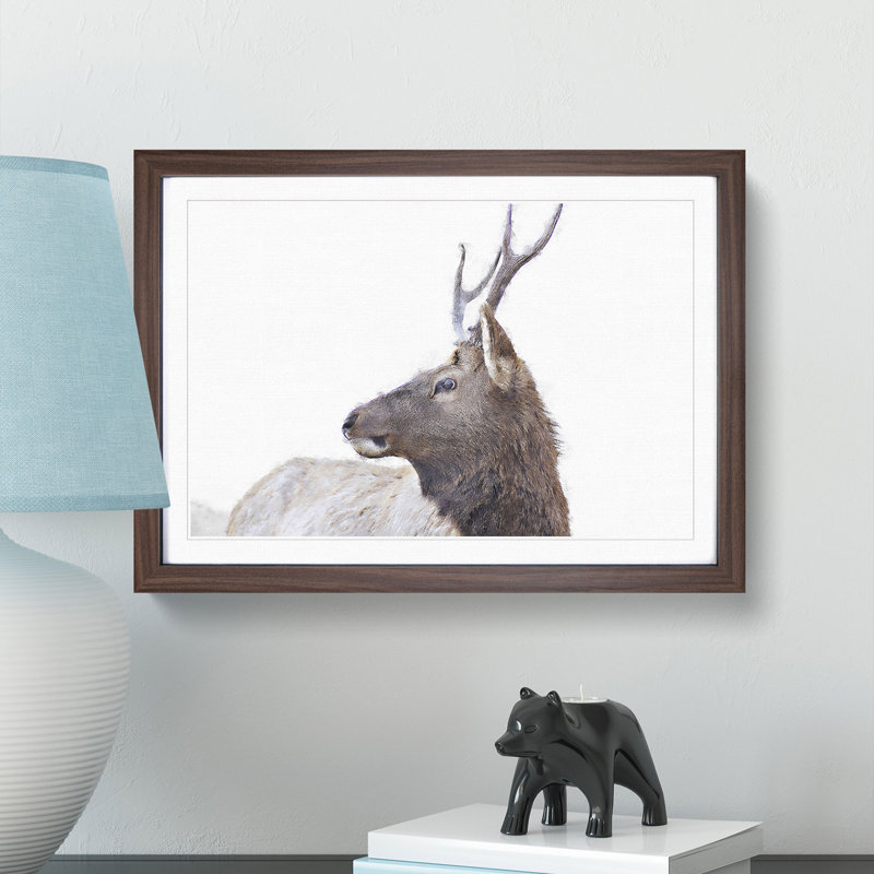 Young Elk - Picture Frame Painting Print, Walnut Framed, 40cm H x 60cm W x 2cm D