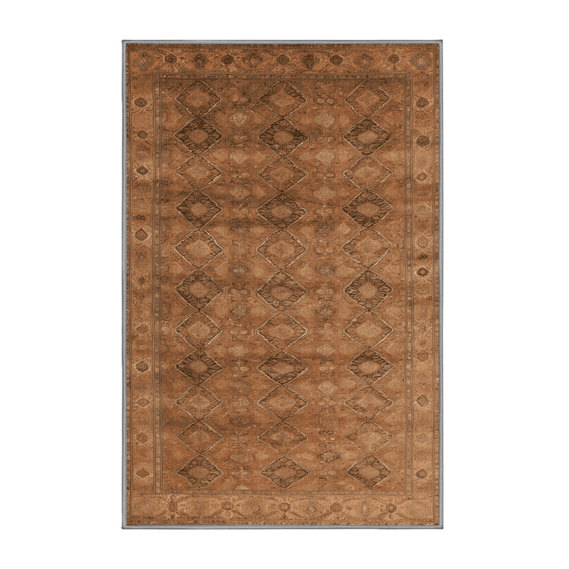 Machine Washable Persian Brown Area Rug, Rectangle 5' x 7'