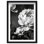 Still Peony Print by Oliver Gal
