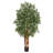 Tree in Pot Liner