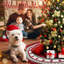 Tree Skirt