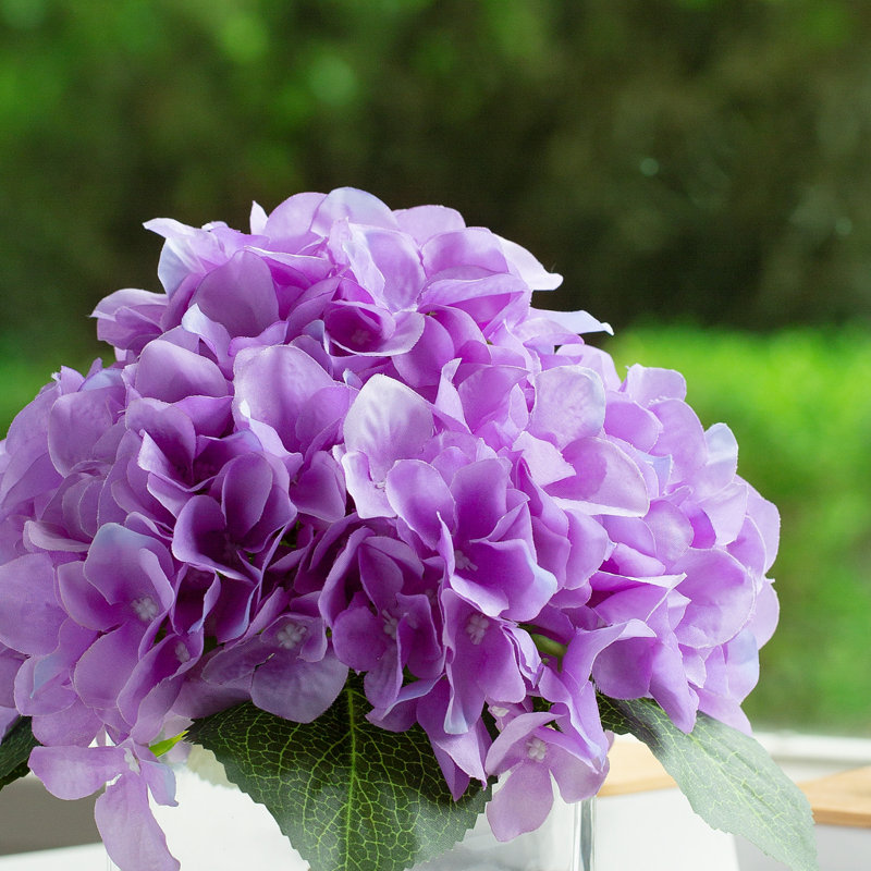 Arrangement d'hortensias dans un vase, Mauve
