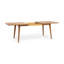 Table de salle à manger d'extérieur durable et extensible
