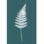 Elegant White Fern by Cartissi — Botanical Wall Art-1277440282-1277440287-1277441764