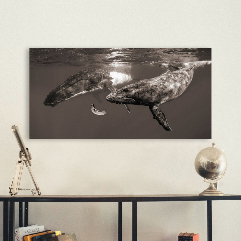 2MR5896 The Daughter Of The Sea by Marc Moreau - Wrapped Canvas Art Prints, 50cm H x 100cm W x 4cm D