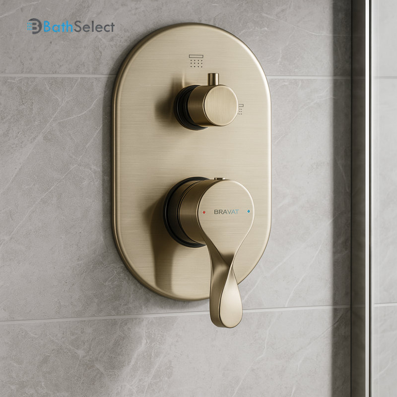 Mélangeur de douche thermostatique mural à deux poignées Bravat, Nickel brossé