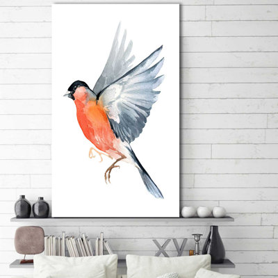 " Robin "