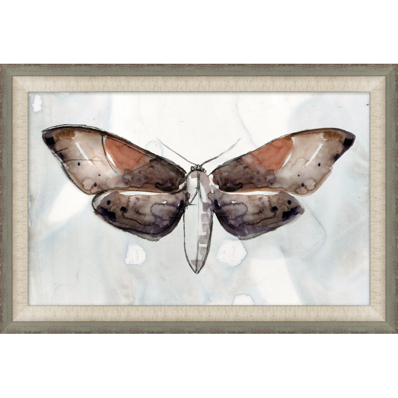 Painted Butterfly Diagram 3 Painting