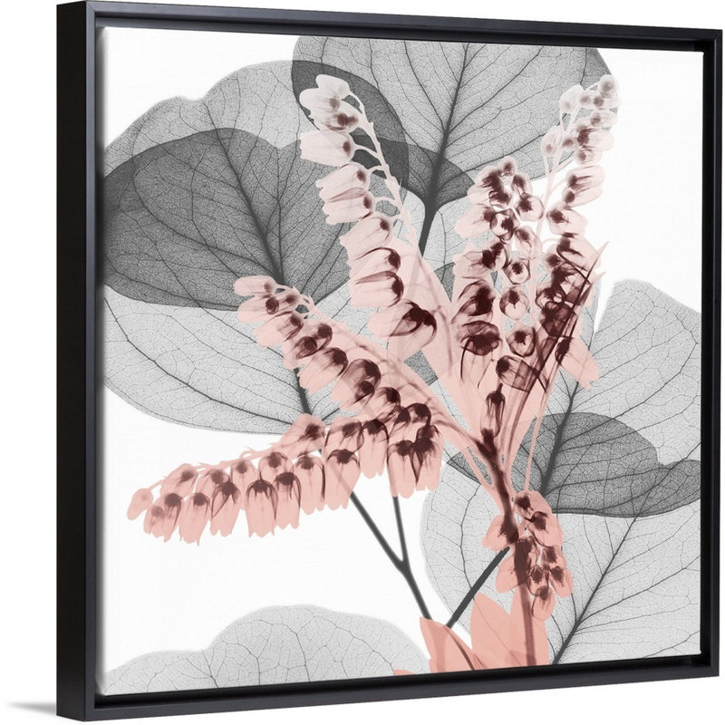 Reproduction d’art sur toile, "blush blush 1" par Albert Koetsier, Cadre noir, H 32 po x l 32 po x P 1,75 po