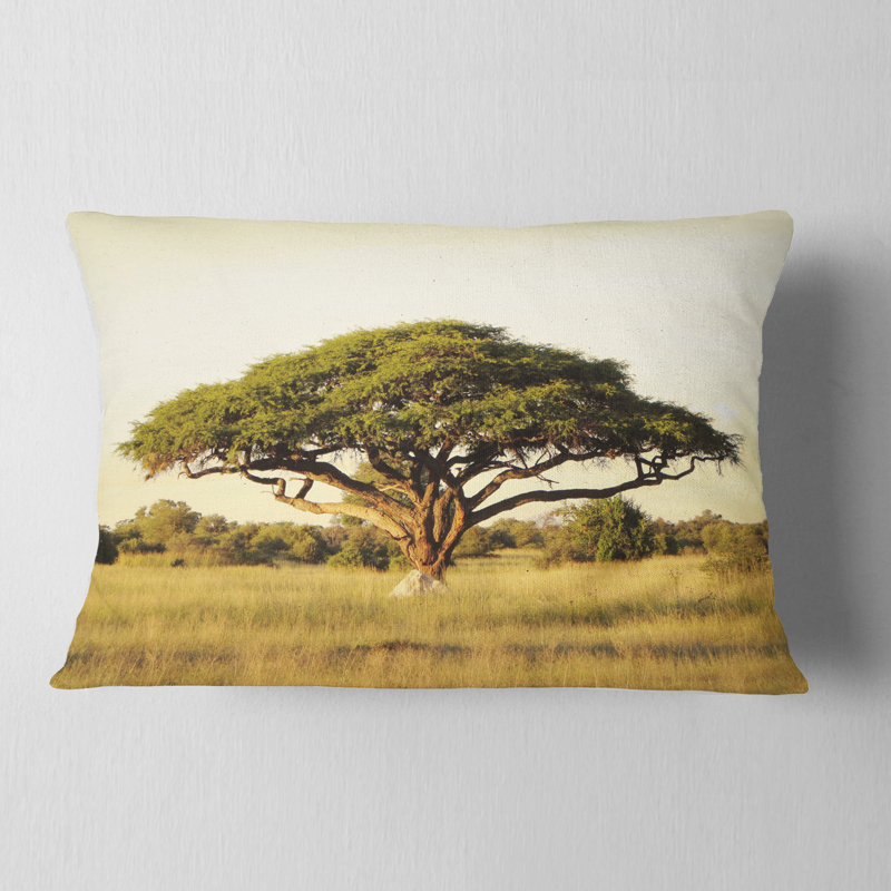 Acacia sur une plaine d'Afrique - coussin à imprimé paysage