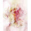 Blossoming Dreams Print by Emma McCartney-26942755-26942758