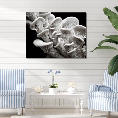 «Black and White Anemone Reef - Coastal Coral Under Water», reproduction sur toile encadrée