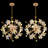 12 - Light Chandelier