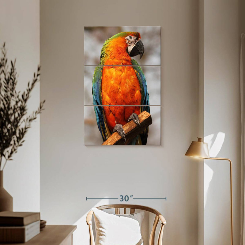 Brampt Catalina Macaw, 57" H x 36" W