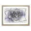 Lilac Succulent Plant in Abstract - Picture Frame Graphic Art Print-55772686-55772689