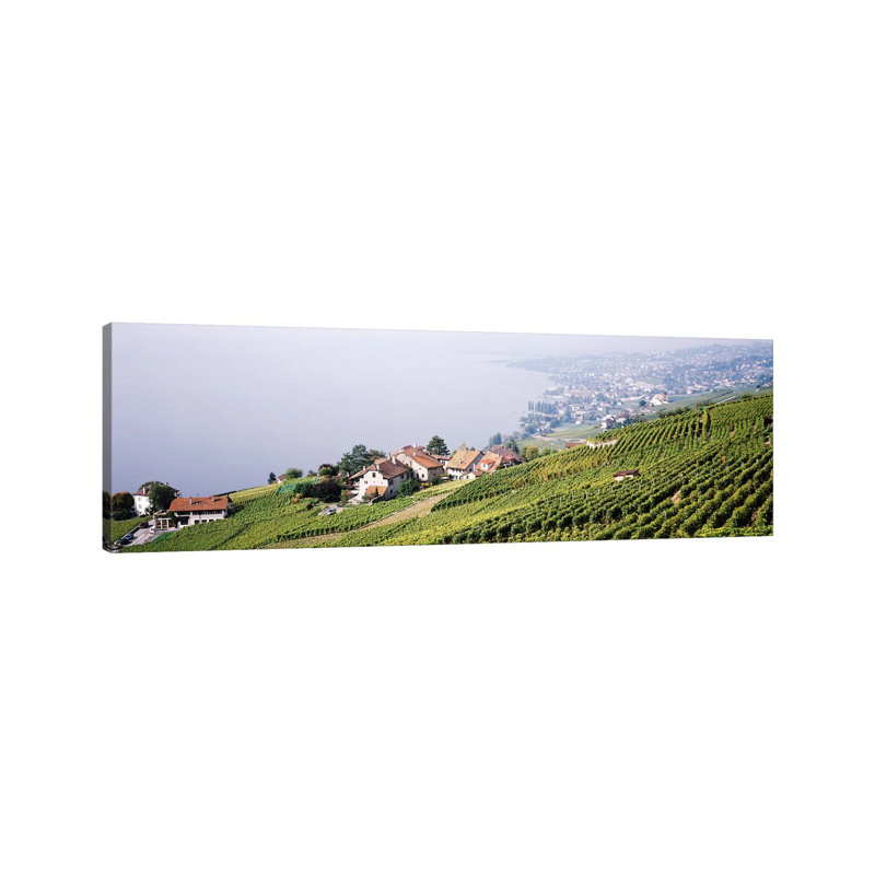 Hillside Sloping Vineyards, Lausanne, Vaud, Switzerland - Wrapped Canvas Panoramic Print