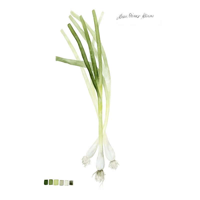 Root Vegetable V by Grace Popp - Wrapped Canvas Painting, 46cm H x 30cm W x 3.8cm D