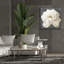  «Vivid Floral 1 White Flower» par Danhui Nai, art mural sur toile