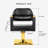 Lowanda Backed Adjustable Height Ergonomic Active Stool with Footrest