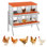 Boîte de nidification de poulet à 6 compartiments, boîte à œufs en métal avec trous ventilés, orange