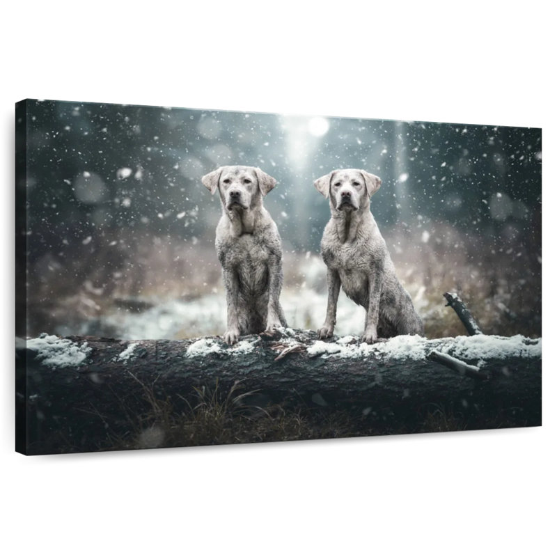 Brampt Muddy Labrador Dogs, 24" H x 36" W