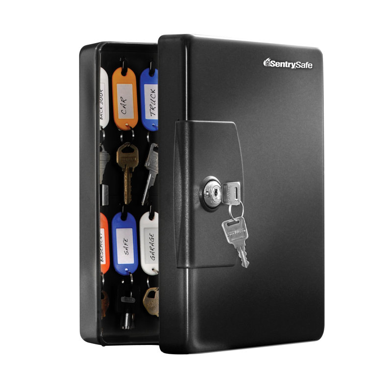 Armoire à clés avec serrure SentrySafe, H 9,8 po x l 7,4 po x P 3,4 po