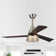Niama 52'' Ceiling Fan with LED Lights