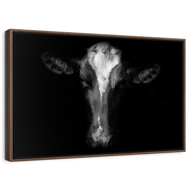 Visage de vache monochrome, 25 po x 17 po, Cadre flottant noyer