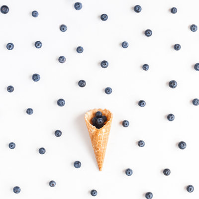 Fresh Blueberry - Wrapped Canvas Print