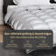 Duvet-202382104
