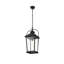 Luminaire suspendu d'extérieur noir 21 pouces Allyiah