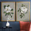 Magnolia botanique - ensemble de 2 reproductions d'art-512224794-512224792-512224798
