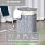 Laundry Bin-118434833-67202384