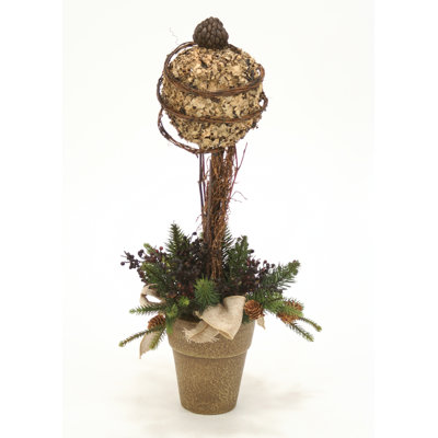 Boule de lichen topiaire en pot français