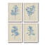 Verditer Fig I - ensemble de 4 reproductions d'art sur toile encadrées-278428342-278428343