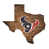 Houston Texans