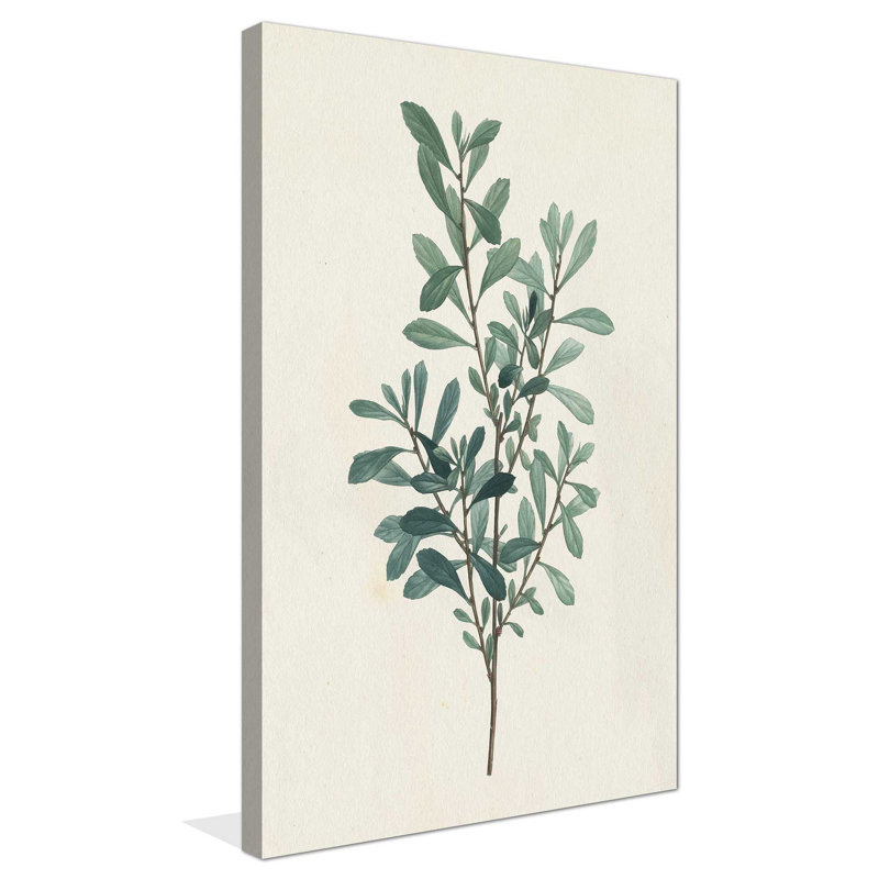 Victorian Garden Greenery I - Peinture, L 18 po x H 30 po, Toile tendue