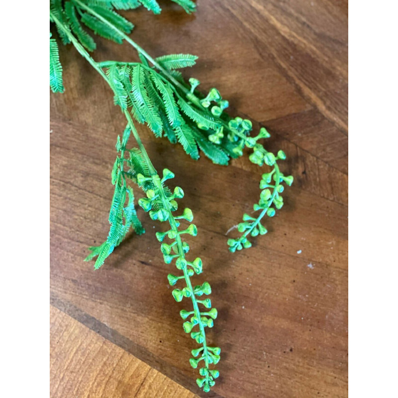 Ensemble de 12 lavandes 29 po Pokeberry, Vert