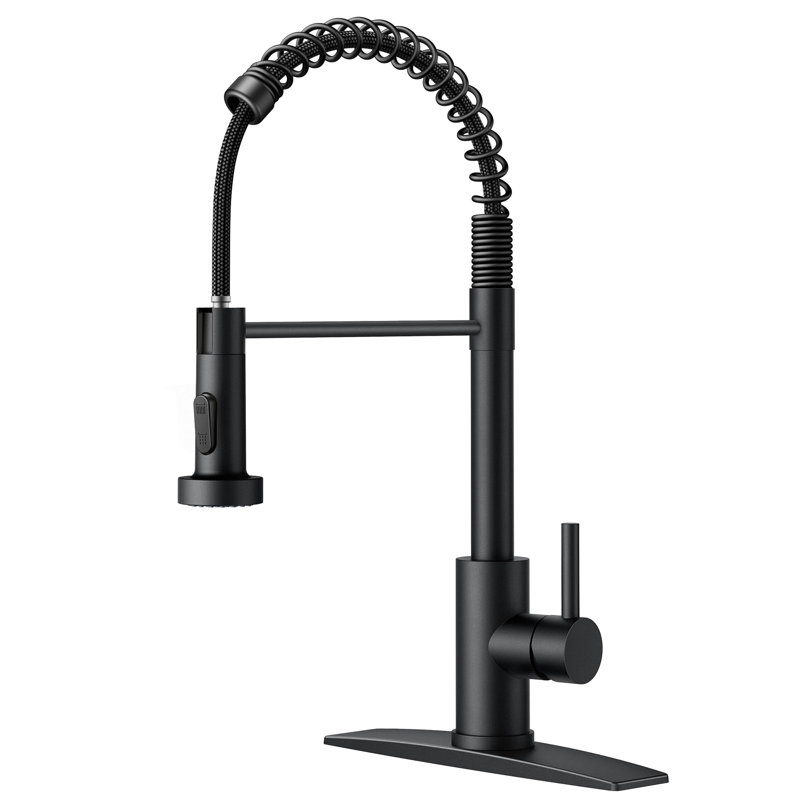 Black Kitchen Sink Faucet with Pull Down Sprayer