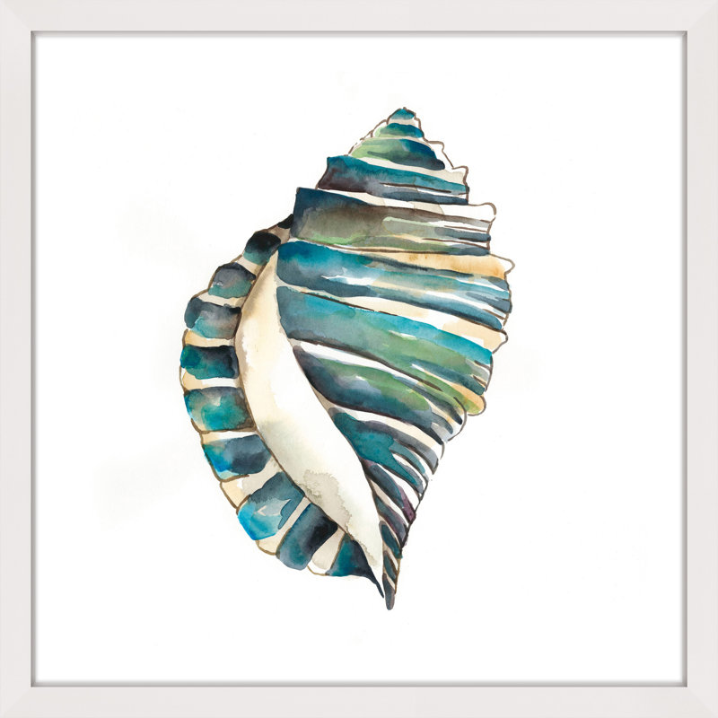Aquarelle Shells I Coastal Canvas Print in White Frame
