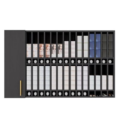 Armoire murale Rofessional