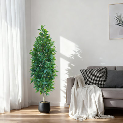 5ft Faux Laurel Topiary Tree Set with Natural Wood Trunk, Potted Decorative Green Plant for Indoor and Outdoor Spaces, Black Basin