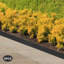 Bordure de jardin-84751533-84751528