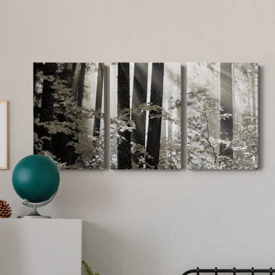 Forêt brumeuse - Toile tendue avec châssis de qualité supérieure - Prêt à être accroché