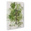 Leaf Lines - Wrapped Canvas-56638707