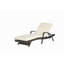 Ensemble de 2 chaises longues d'extérieur en osier avec coussins, chaise longue inclinable en osier