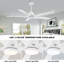 Ventilateur de plafond à DEL 5 pales Bascio-383305362-372998755-384215958